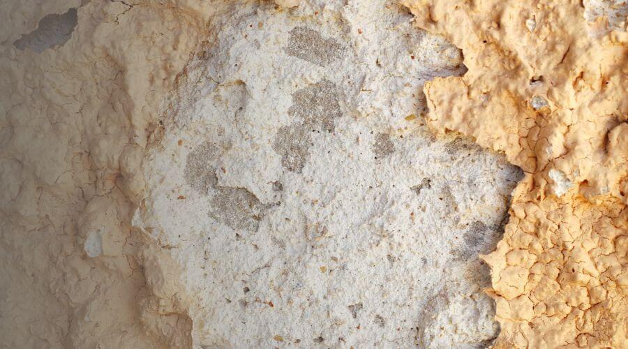 Why choose Black Mold Removal Rockcreek for black mold removal in Rockcreek